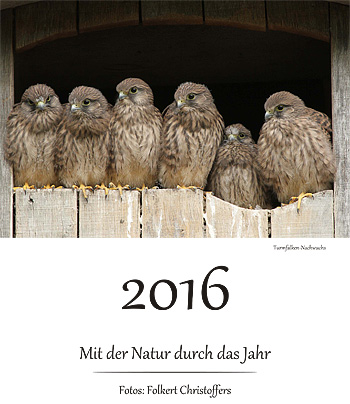 Kalender-2016-Folkert-1