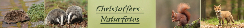 christoffers-naturfotosTier